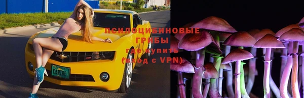 эйфоретик Абаза