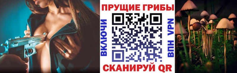 Псилоцибиновые грибы GOLDEN TEACHER  наркота  Юрюзань 